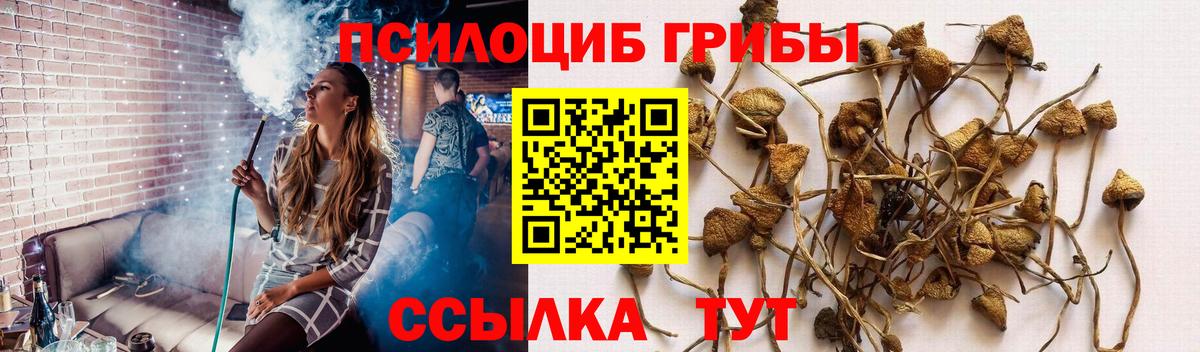 Галлюциногенные грибы ЛСД  Вход с VPN  Новокубанск  дарнет шоп  Галлюциногенные грибы ЛСД 