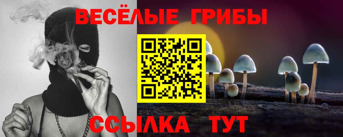 Галлюциногенные грибы Psilocybine cubensis Новокубанск